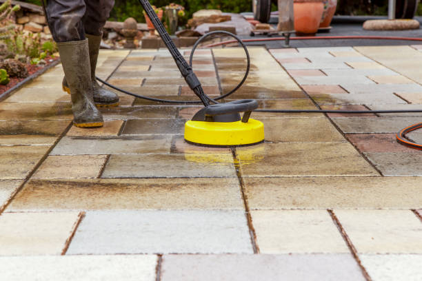Best Dumpster Area Cleaning  in Michigan City, IN